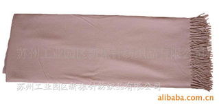 苏州工业园区新振针纺织品 产业升级与创新发展的典范